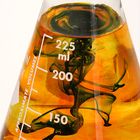 Chemical Kinetics and Equilibirum