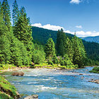 Living Earth: Integrating Life Science and Earth and Space Science