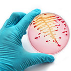 Microbiology Buying Guide
