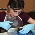 Dissection FAQs