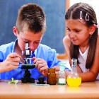 Under the Microscope