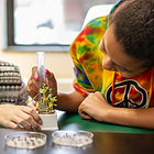 Using Fast Plants® to Teach LS1: Molecules and Organisms: Structures and Processes