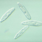 Care Guide Protists