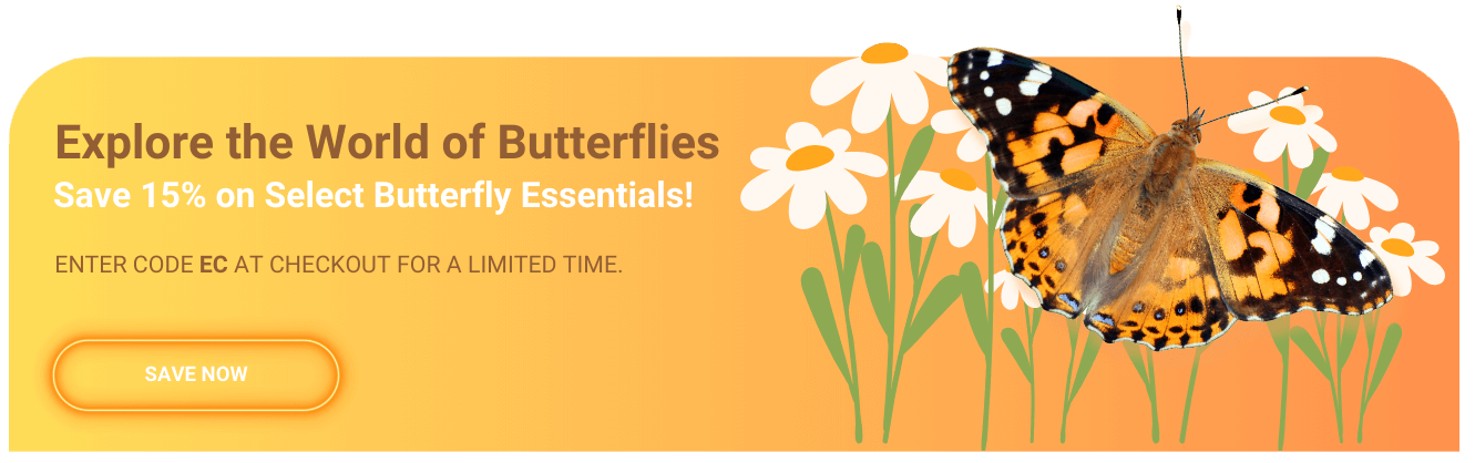 Explore the world of butterflies