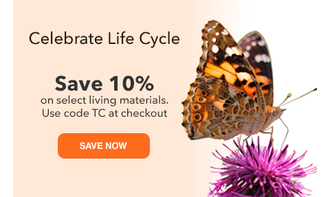 Celebrate Life Cycle