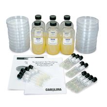 Plaque Assay Plating Set | Carolina Biological Supply