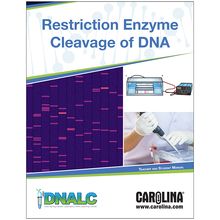 Restriction Enzyme Cleavage of DNA Digital Resources | Carolina ...