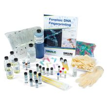 DNALC Forensic DNA Fingerprinting Kit | Carolina.com