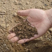 Edna Sampling Soil For Antibiotic Resistance Kit