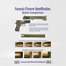 Bullet Comparison Poster | Carolina Biological Supply