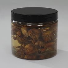 Formalin Preserved Grasshoppers