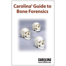 Carolina® Guide to Bone Forensics | Carolina Biological Supply