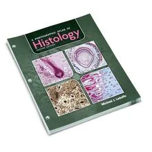 健康・医学 An Atlas of Histology An Atlas of Histology | Springer Nature Link