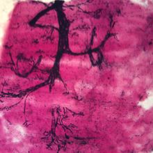 Mammal Motor Nerve Ending Teased Microscope Slide Carolina Com