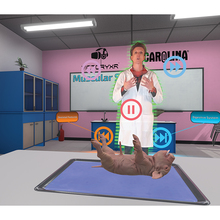 Virtual Reality Dissections