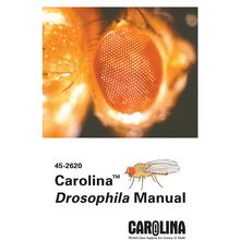 Drosophila Manual, Carolina | Carolina.com