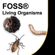 Foss Living Materials Animals Two By Two Live Shipment