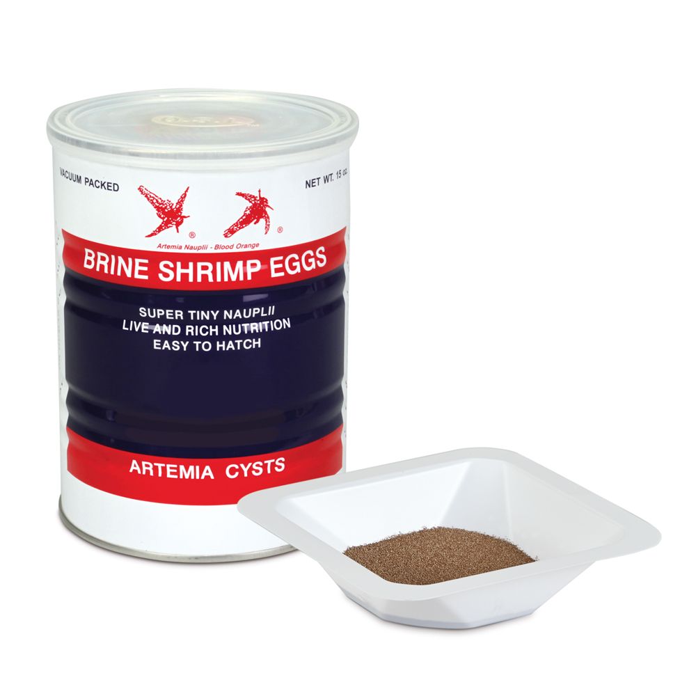 Brine Shrimp (Artemia) Eggs, 15 oz