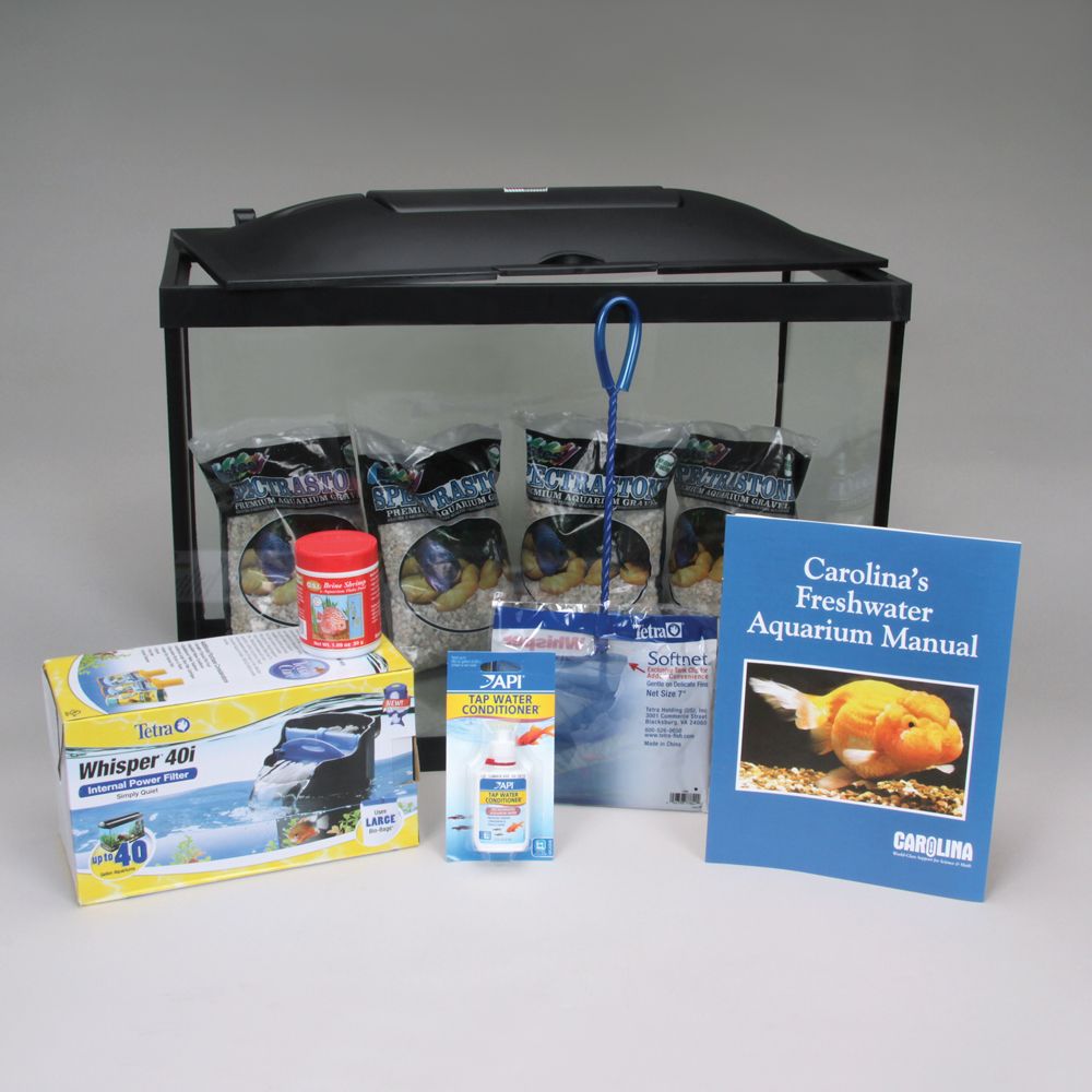 Goldfish Aquarium Kit | Ideal Water Parameters for Goldfish Tank ...