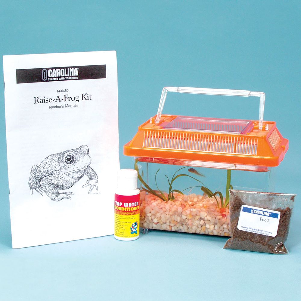 Raise A Frog Kit Carolina Com