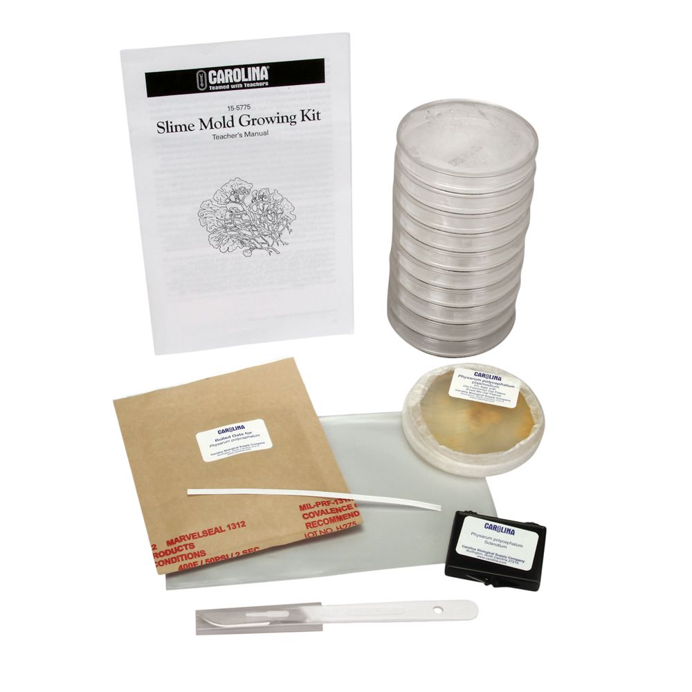 Reviews for LABTECH Mold Detection Test Kit