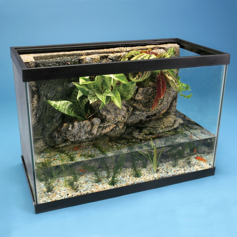 aquarium ecosystem