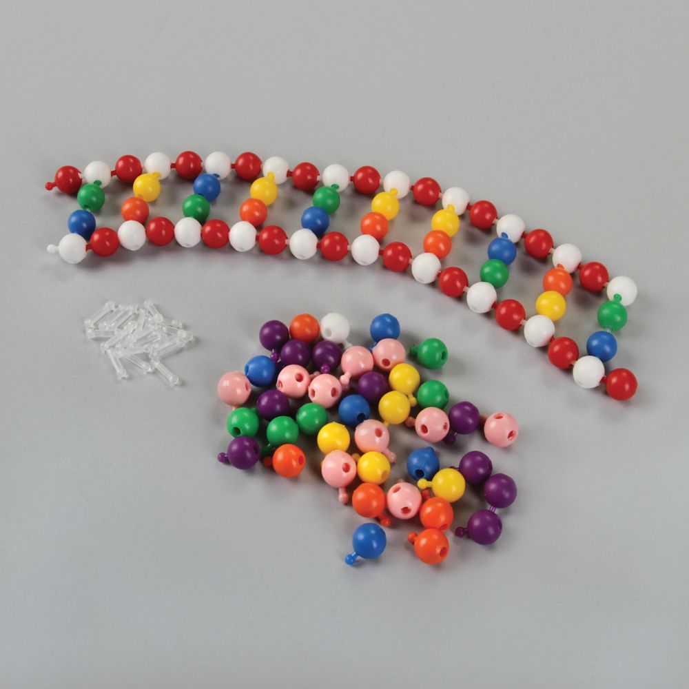 DNA Simulation Beads Set Carolina Biological Supply