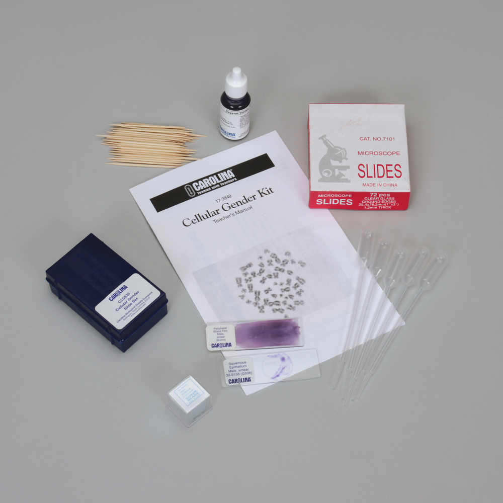 Cellular Gender Kit Carolina Biological Supply