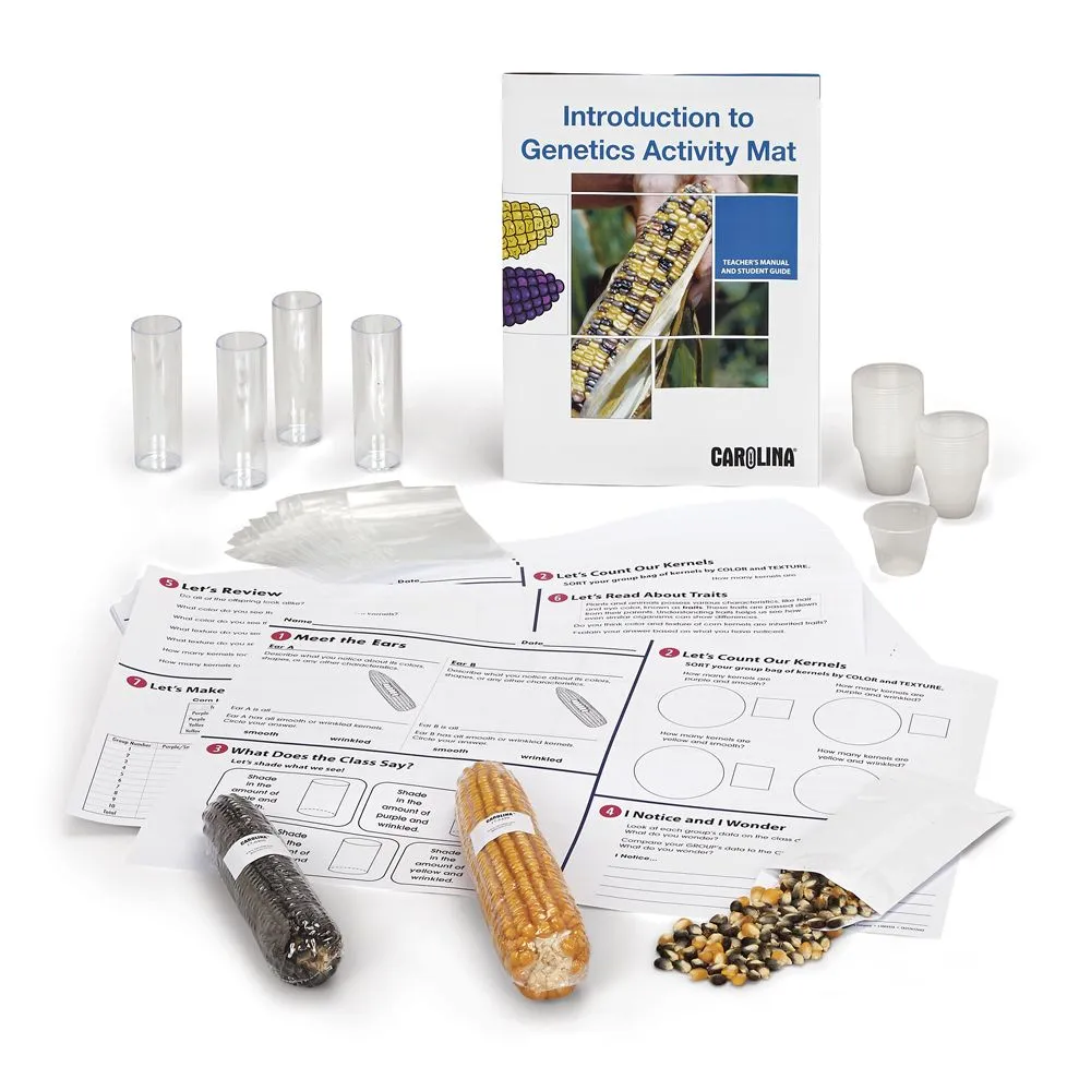Introduction to Genetics Activity Mat