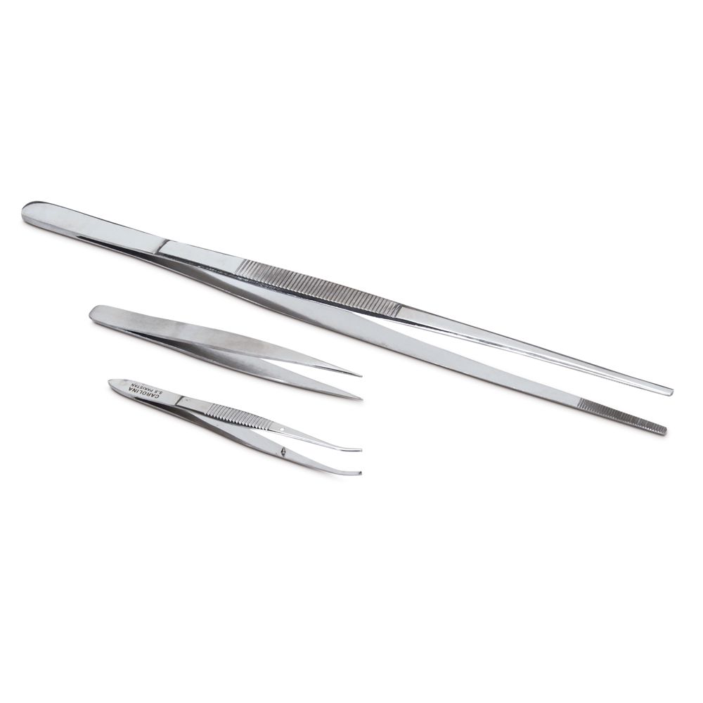 Forceps Set, Stainless Steel, for Plant Tissue Culture