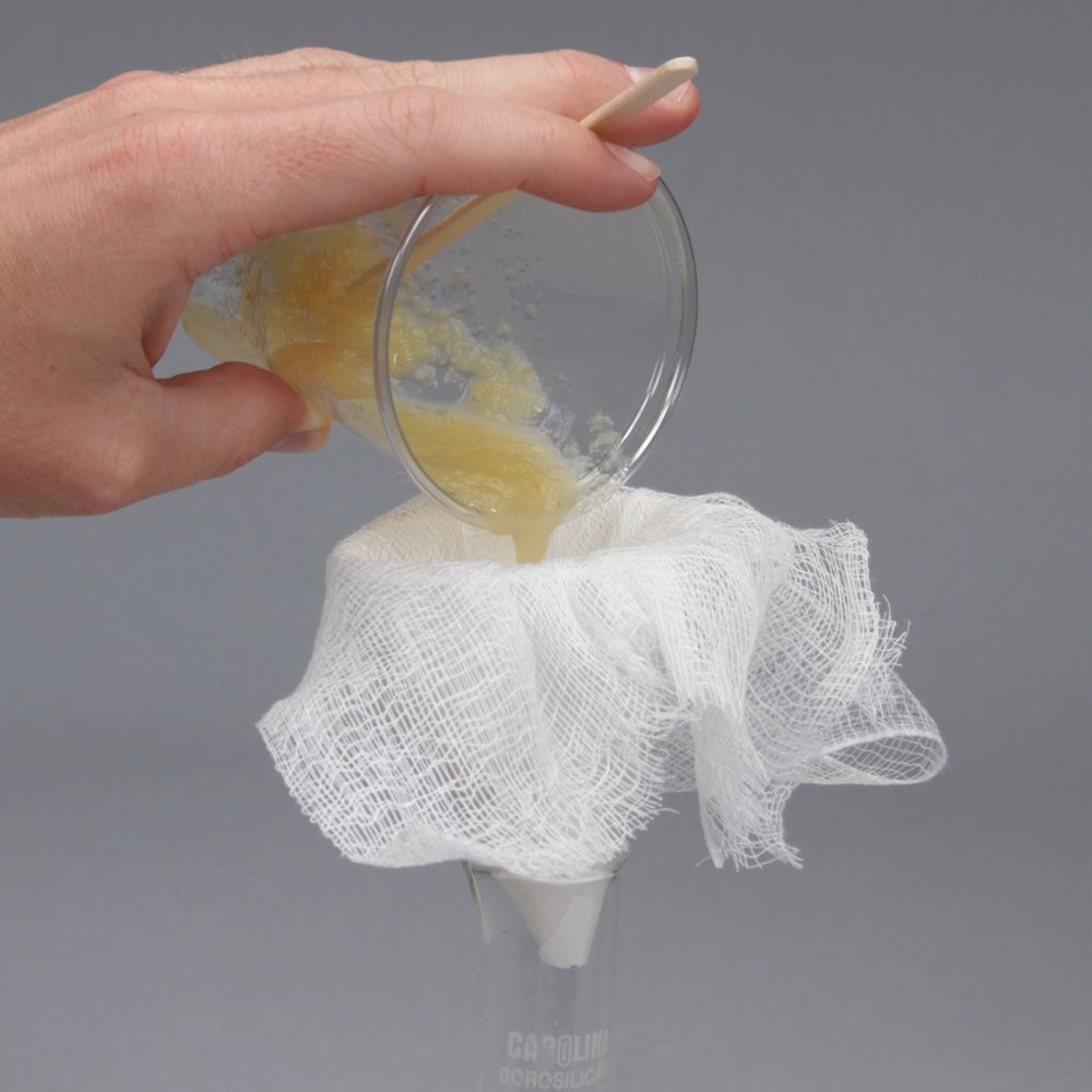 Carolina BioKits® Exploring with Pectinase An Introduction to Enzymes