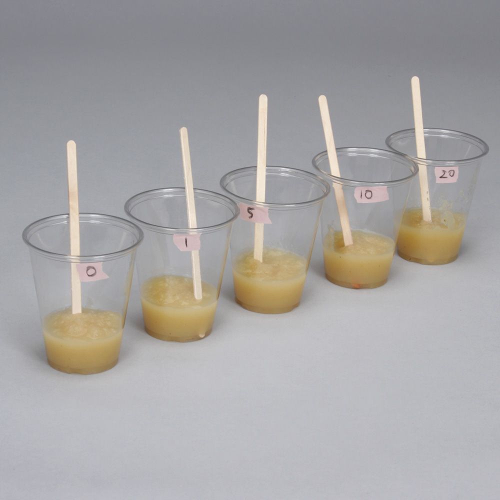 Carolina BioKits® Exploring with Pectinase An Introduction to Enzymes