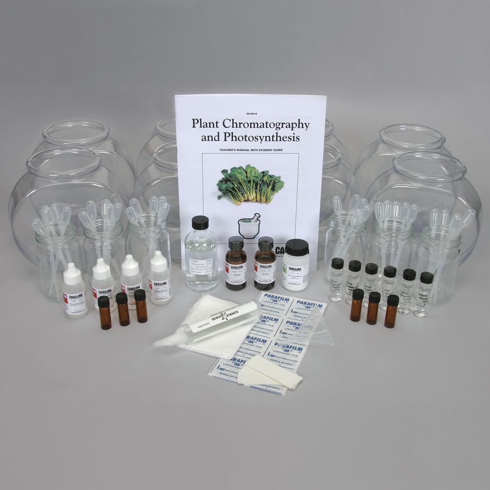 Plant Chromatography and Photosynthesis Kit (with voucher) Carolina