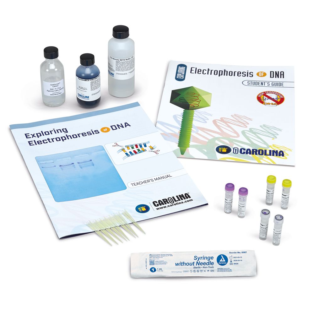 Exploring Electrophoresis of DNA Kit | Carolina Biological Supply