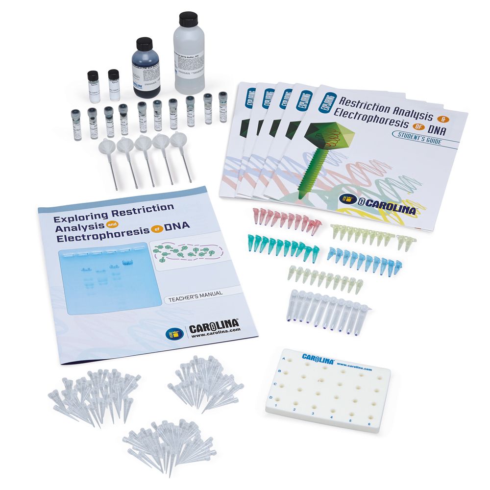 Exploring Restriction Analysis and Electrophoresis of DNA Kit