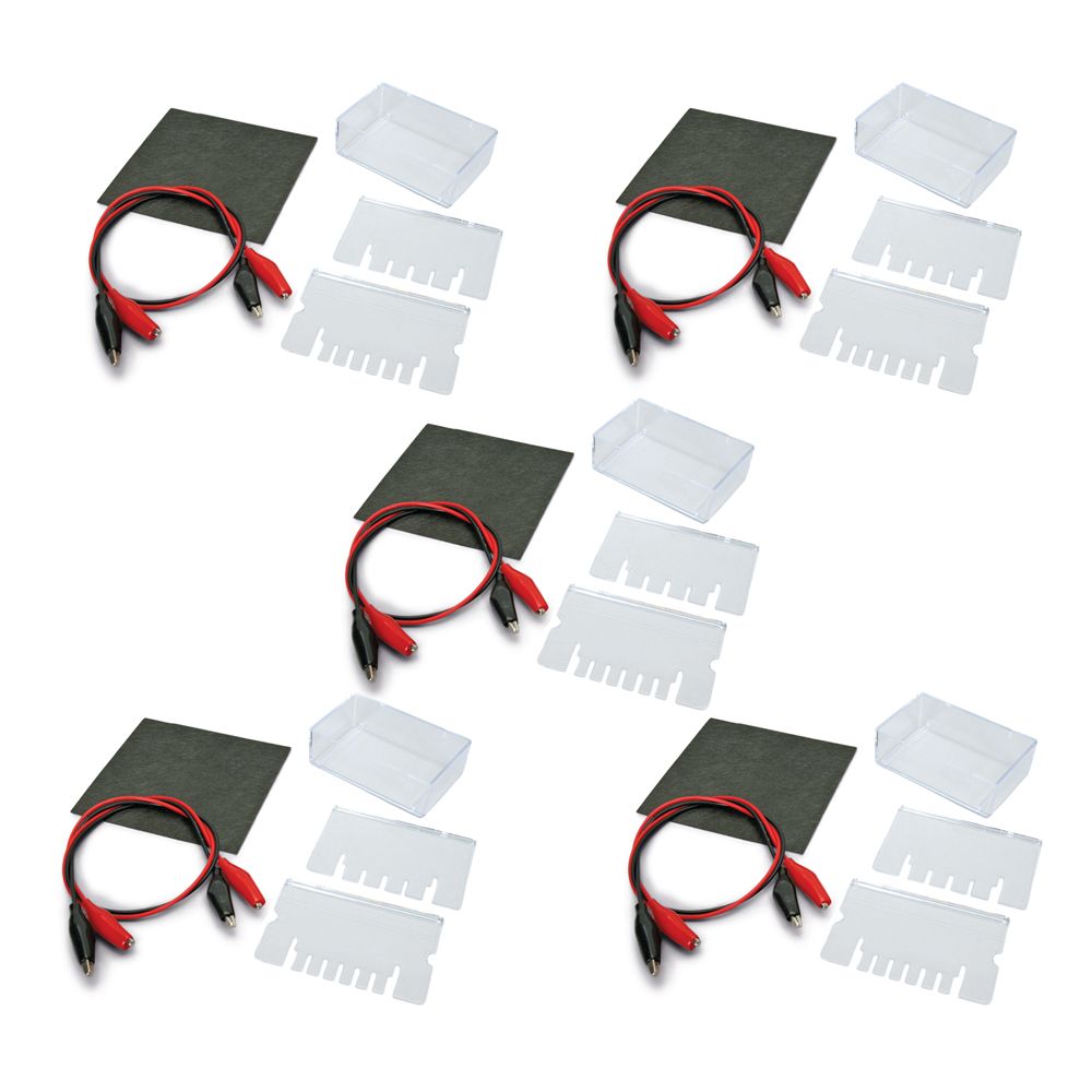Exploring Electrophoresis Apparatus