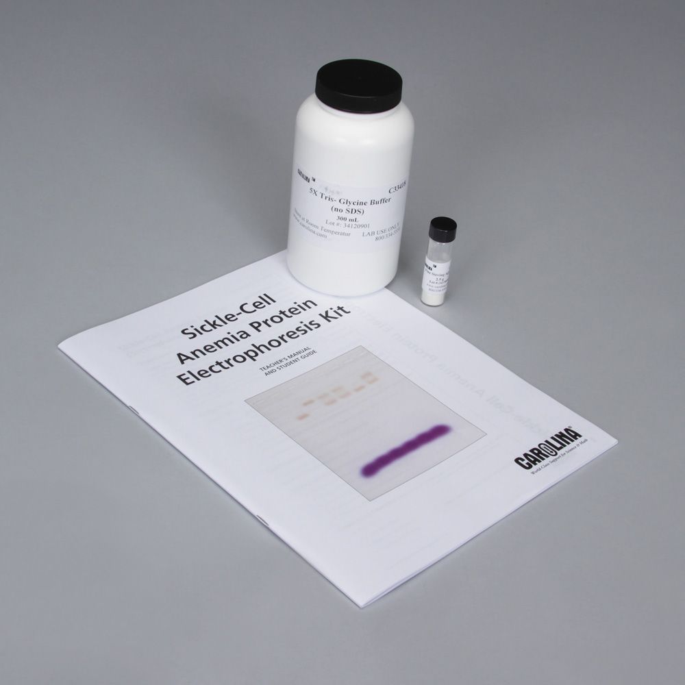 SickleCell Anemia Protein Electrophoresis 4Station Kit (with voucher