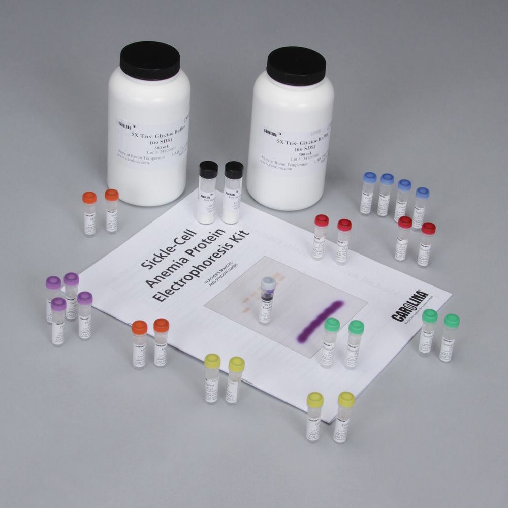 SickleCell Anemia Protein Electrophoresis 8Station Kit (with