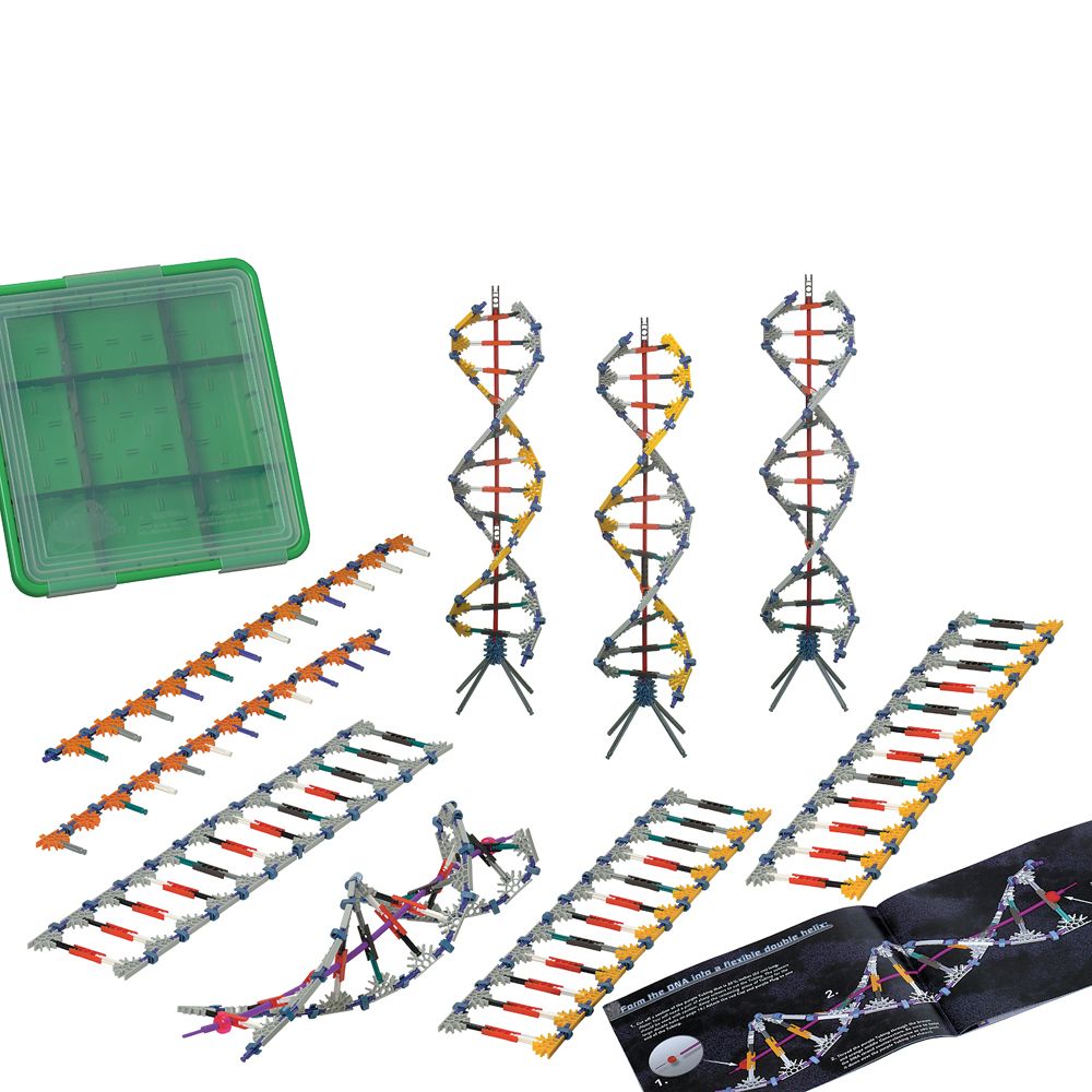 DNA, Replication and Transcription Set