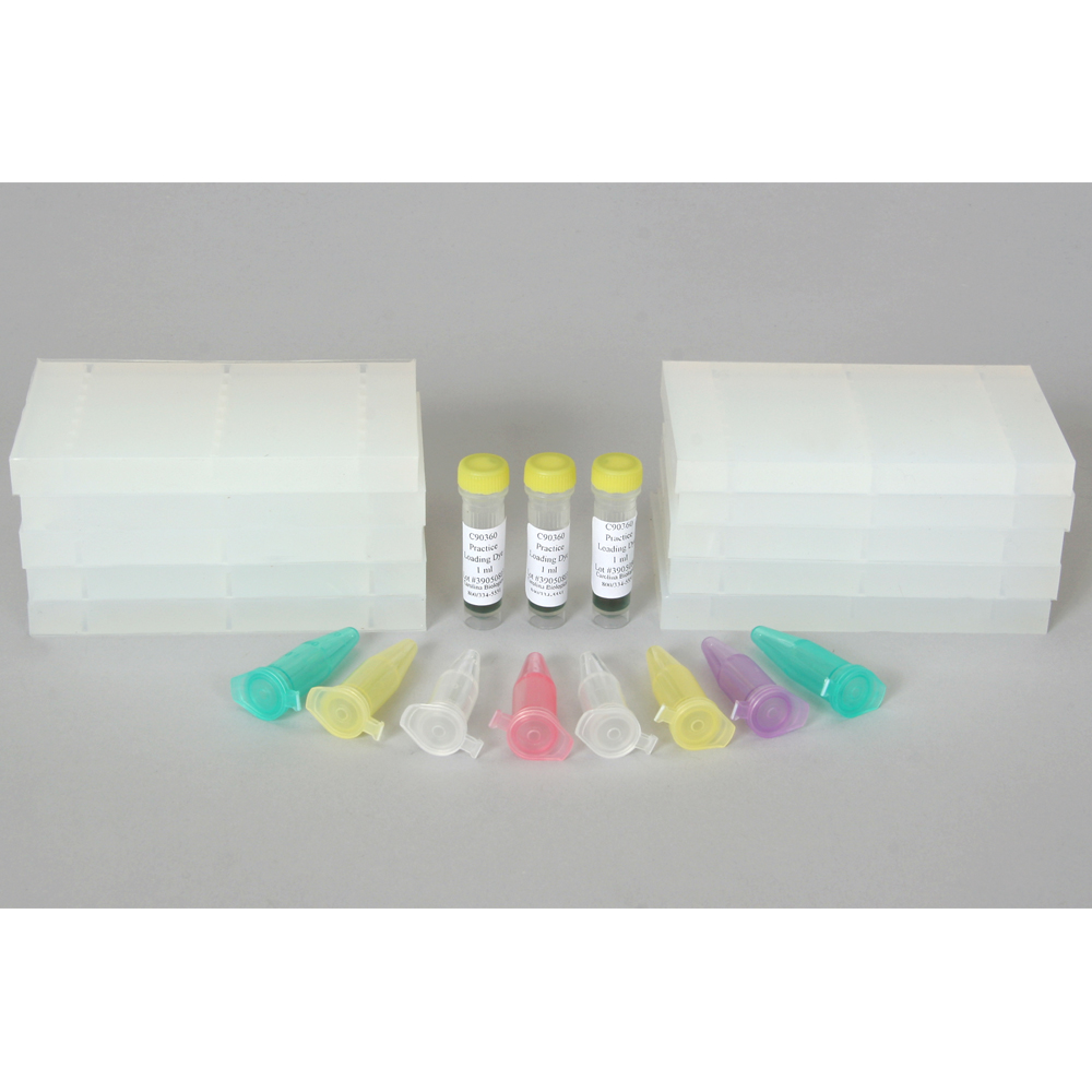 Practice Pipetting Stations Kit