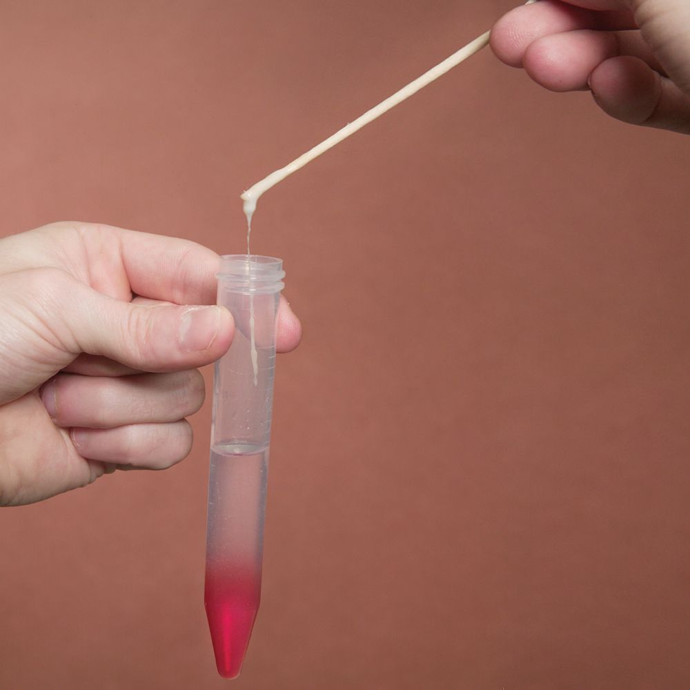 Extract DNA from Strawberries