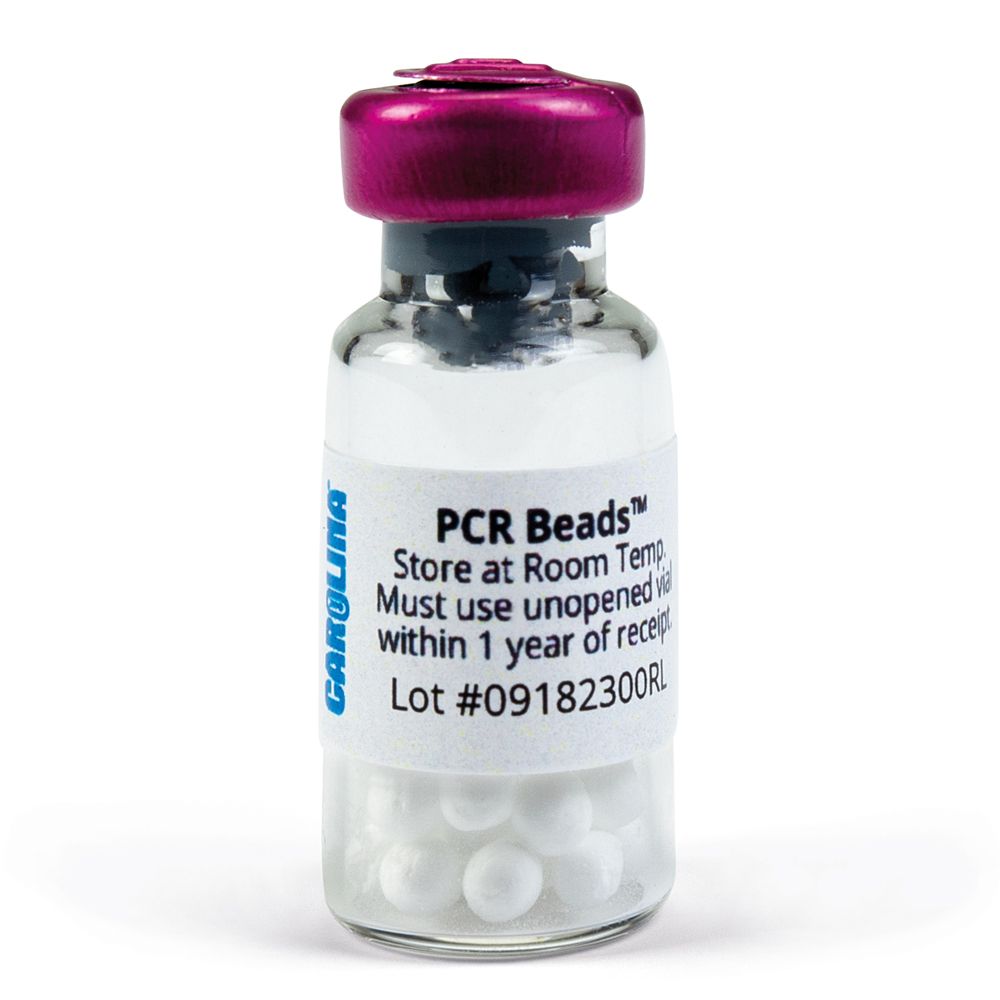 Carolina® PCR Beads, 25 Reactions Carolina Biological Supply