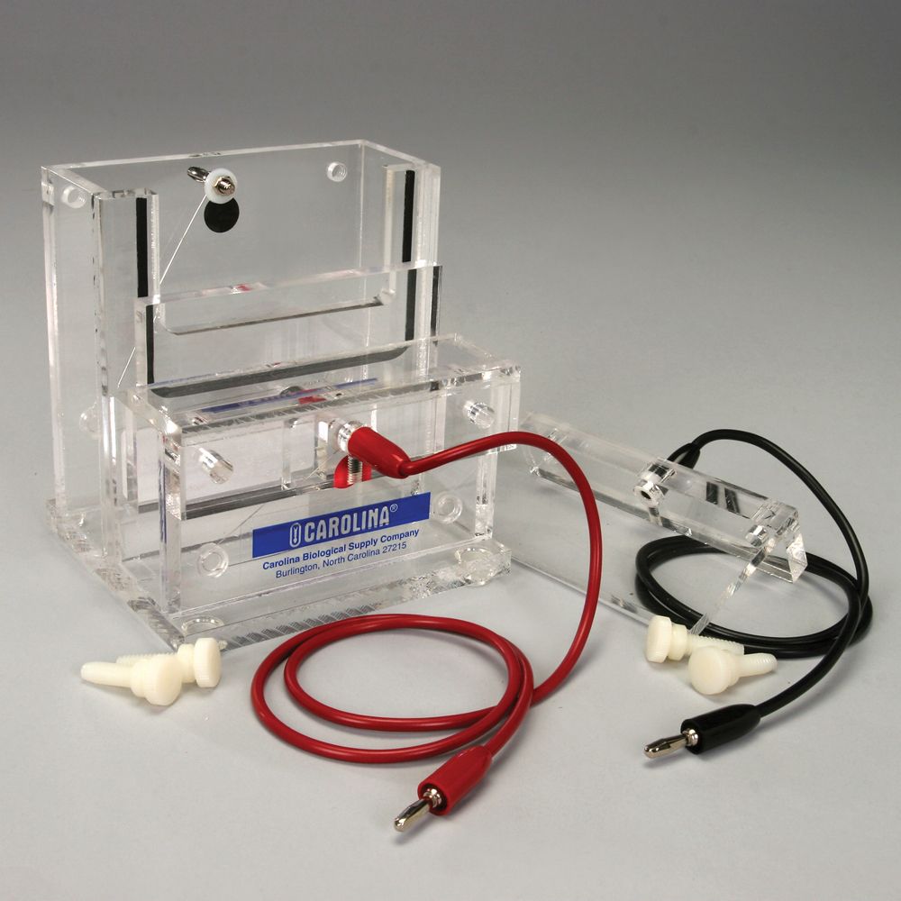 Carolina® Vertical Gel Electrophoresis Chamber