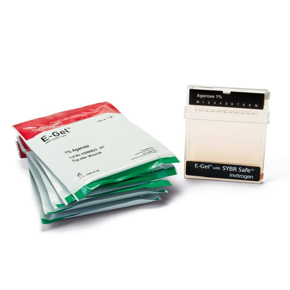 E-Gel®, 1% Agarose with SYBR® Safe, Pack of 6 | Carolina