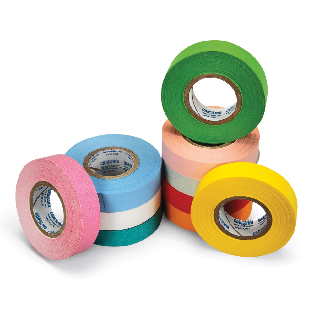 Fisherbrand Educational Labeling Tape Color: Rainbow; 0.75 in. x