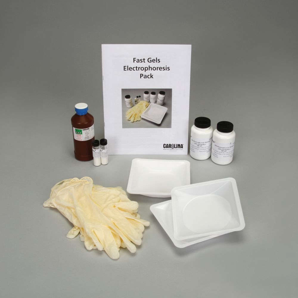 Fast Gels Electrophoresis Packs