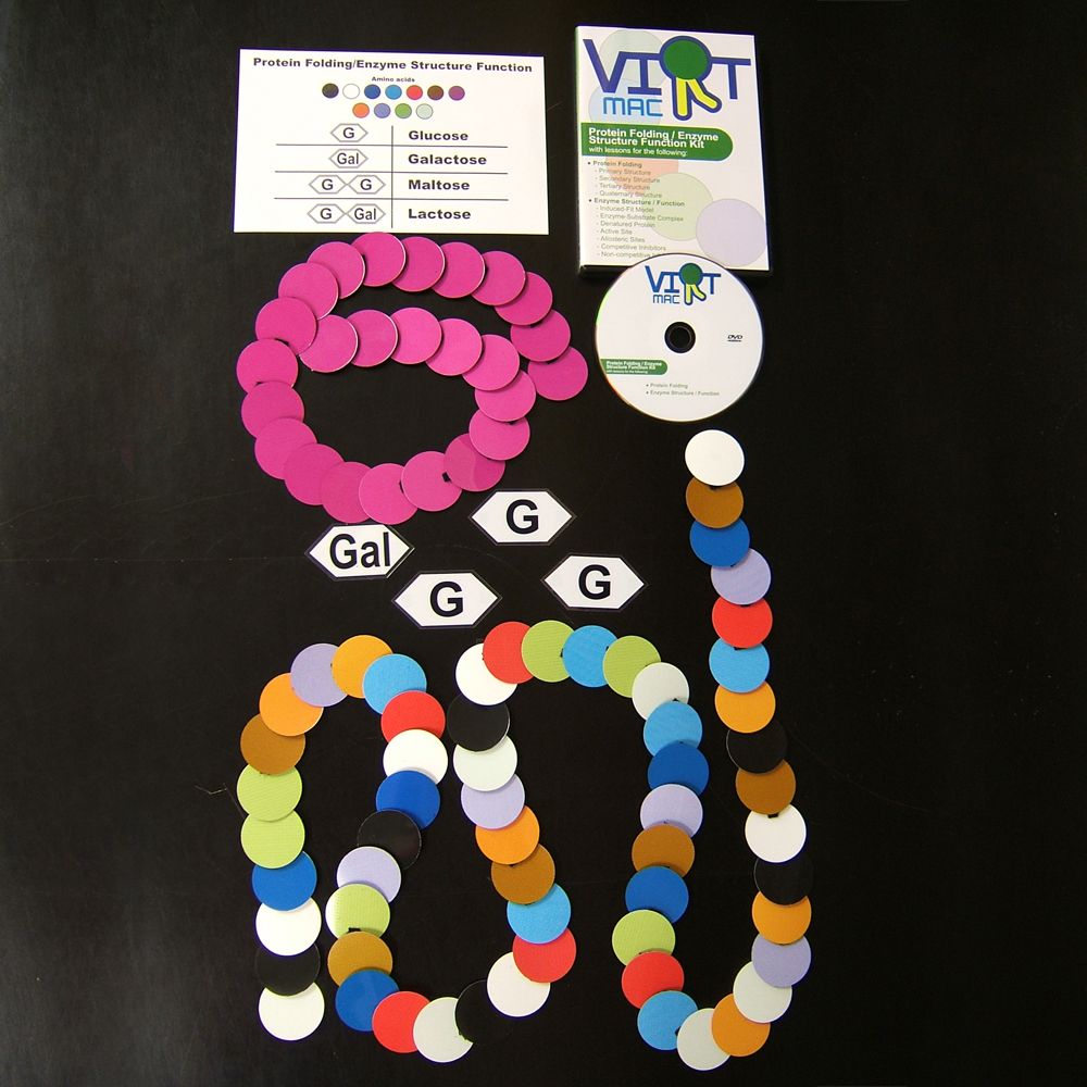VirtMac™ Protein Folding/Enzyme Structure and Function Kit