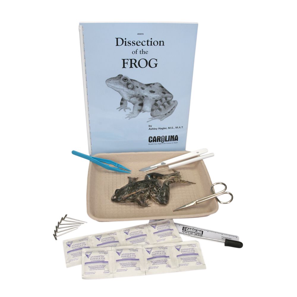 Frog Anatomy Kit with Dissecting Set Carolina Biological Supply