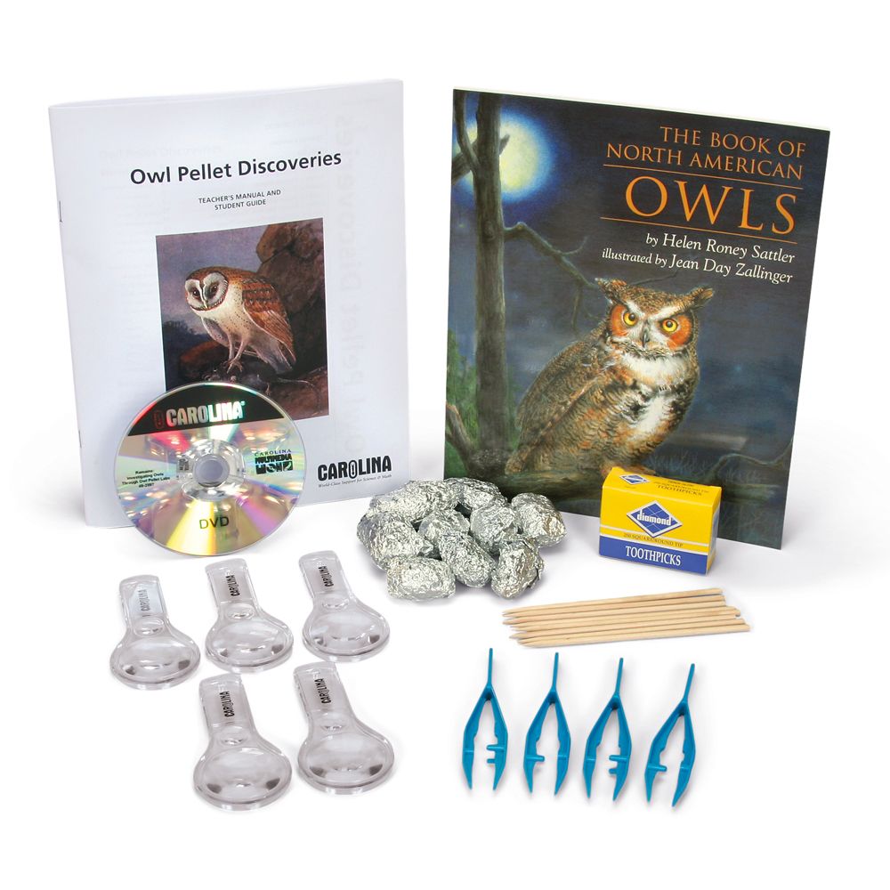 Owl Pellets for Dissection, Large