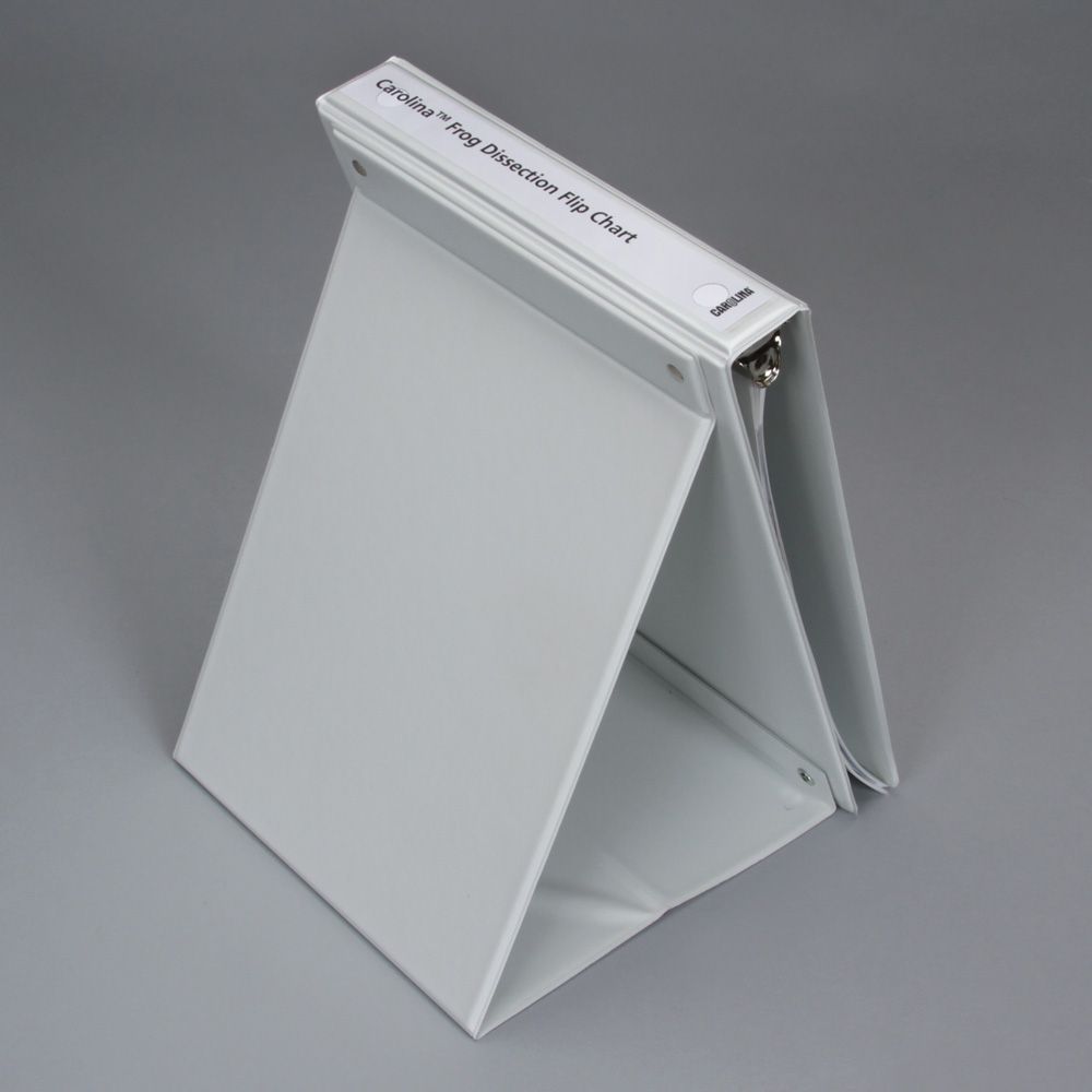 Carolina® Frog Dissection Flip Chart Carolina Biological Supply